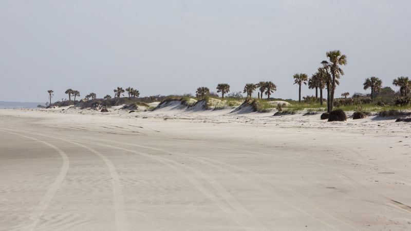 The beach and sand dunes on Cumberland Island.
Courtesy Hunter McRae/The New York Times)