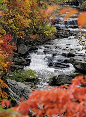 Fall colors - Berea, Ohio