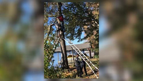 The man had been struck in the tree for about a half-hour before 911 was called.