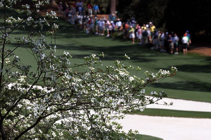 Augusta National Golf Club, which was originally built on the former 365-acre Fruitland Nurseries, is full of blooming flowers.