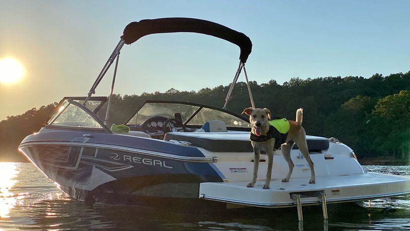 Hero, the dog belonging to Davis Adams and Baron Smith, enjoys a day of boating on Lake Lanier. 
Courtesy of Davis Adams.