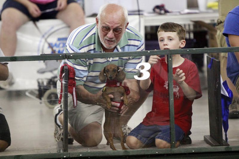 Bill Cutlip, left, and Zachary Baggett, right, gives words of encouragement to dachshund Kacey at the Georgia Dachshund Races at Jim R. Miller Park in Marietta Saturday.