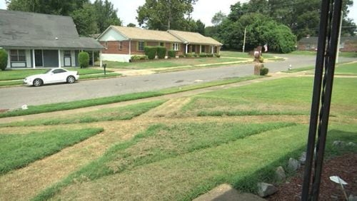 A Tennessee woman’s yard allegedly was vandalized by a lawn care company, and her granddaughter confronted one of the employees in a viral video.