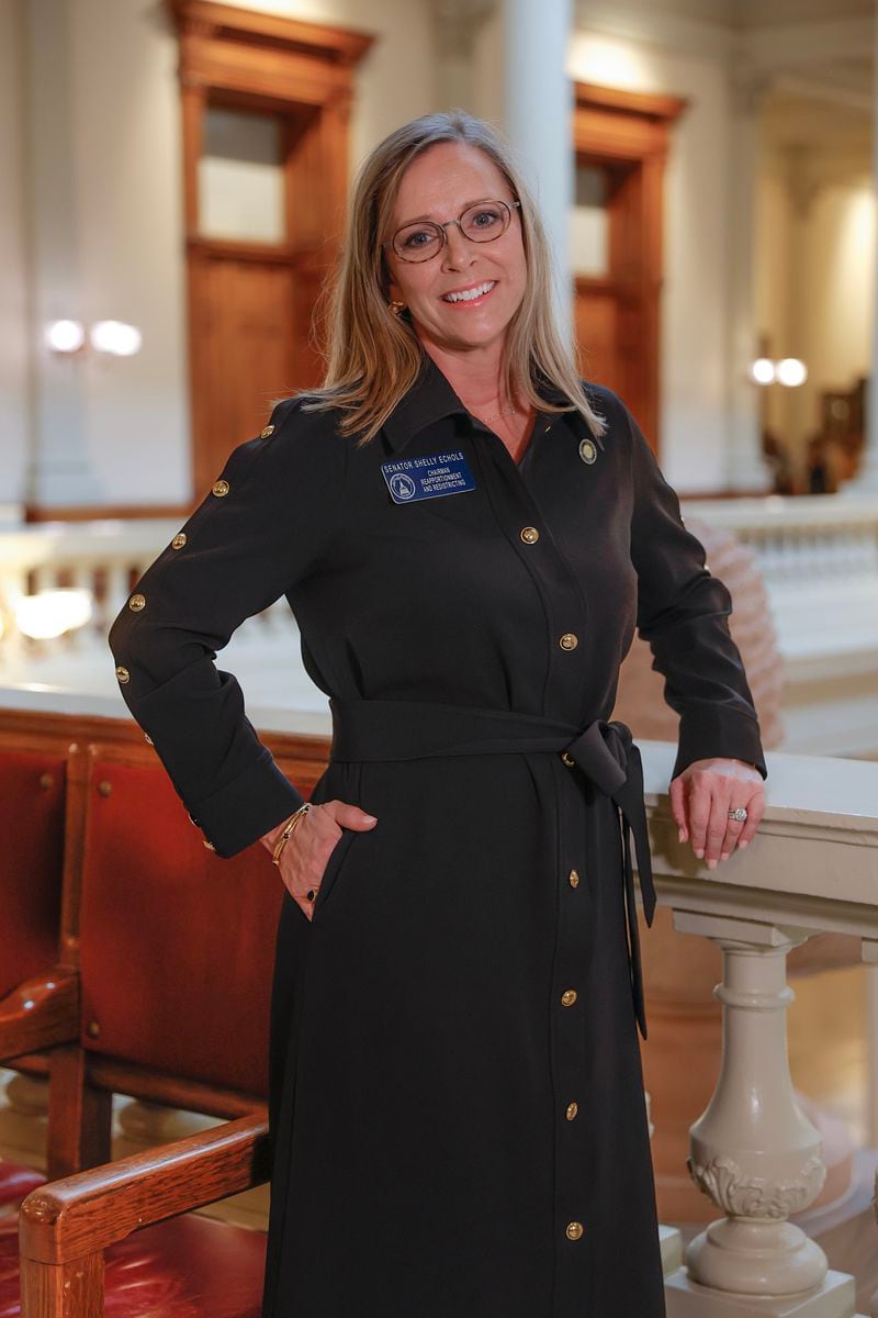 Sen. Shelly Echols (R-Echols) poses for a portrait at the Georgia State Capitol on Monday, March 27, 2023.  (Natrice Miller/ natrice.miller@ajc.com)