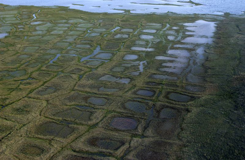 In this undated photo provided by the United States Geological Survey, permafrost forms a grid-like pattern in the National Petroleum Reserve-Alaska, managed by the Bureau of Land Management on Alaska's North Slope. (David W. Houseknecht/United States Geological Survey via AP)