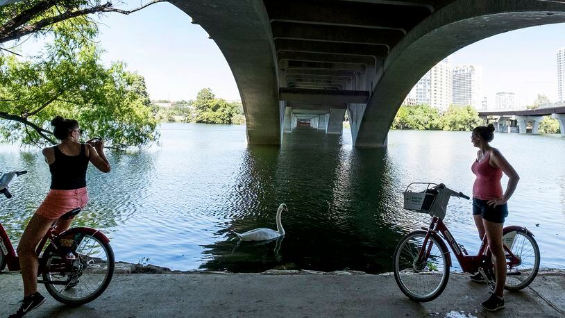 September 19, 2016 - Arlene Mav, of Australia, left, and Jane Jones, of the United Kingdom, right, stop along the hike and bike trail below the Lamar Boulevard Bridge to take a picture of a goose hanging out in the shade of the bridge in Austin, Texas, on Monday, Sept. 19, 2016. (AUSTIN AMERICAN-STATESMAN / RODOLFO GONZALEZ)