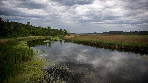 The upper Mississippi River between its headwaters in Itasca State Park and Bemidji in June 2016. (Aaron Lavinsky/Minneapolis Star Tribune/TNS)