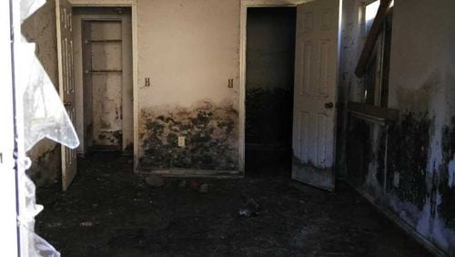 An abandoned apartment at Kingsley VIllage. A resident says mold is pervasive throughout the complex. (courtesy of a resident)