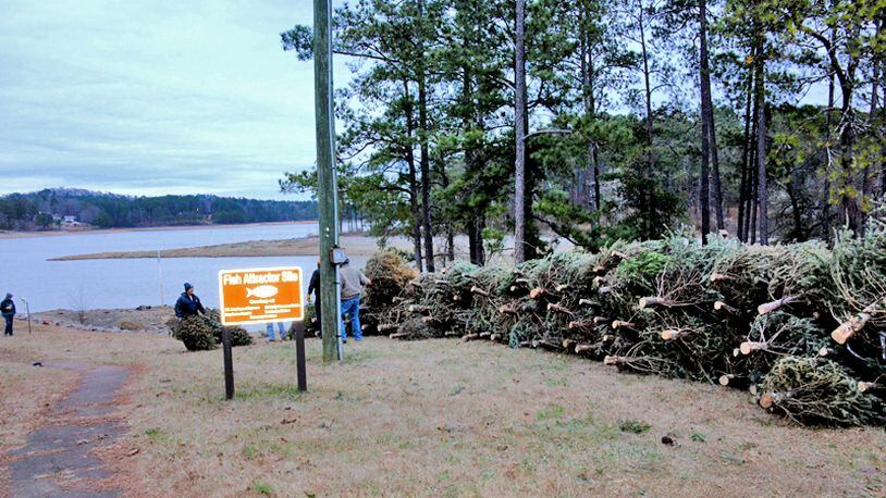 Allatoona Lake will begin accepting Christmas trees at seven sites Saturday, Dec. 26. The trees will be deposited in the lake to create fish habitats.