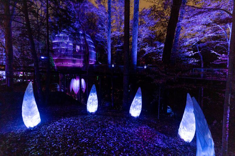 Trees and sculptures are illuminated at the Wildwoods: AGLOW Experience at the Fernbank Museum in Atlanta, GA, on Friday, December 2, 2022.(Photo/Jenn Finch)