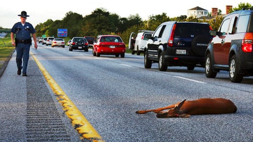 Who is responsible for picking up roadkill in Gwinnett County?