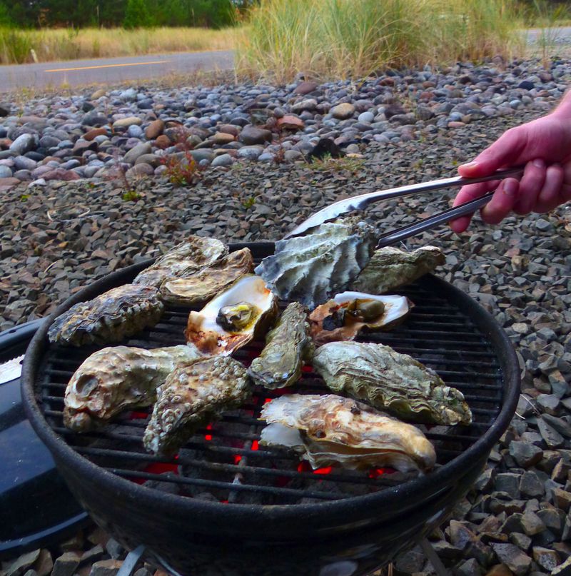 Oysters grill over hot coals until the shells open. (Brian J. Cantwell/Seattle Times/TNS)