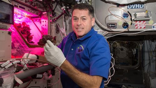 NASA astronaut Shane Kimbrough, a Lovett School alumnus, harvests fresh red romaine lettuce on the International Space Station.