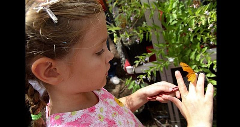 Entertainment and butterfly encounters headline Dunwoody's annual Butterfly Festival.