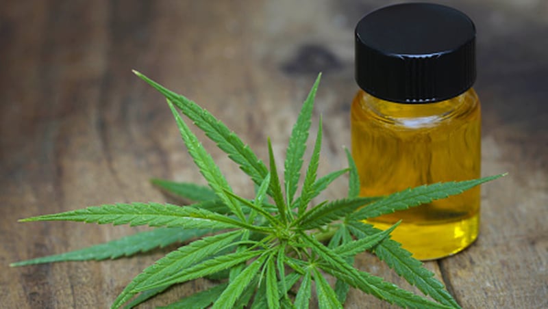 The green leafy plant and extract oil used to make medicinal cannabis is shown in this photo. A new study finds low doses of THC, the active ingredient in marijuana, could dramatically improve cognitive function in older people. 