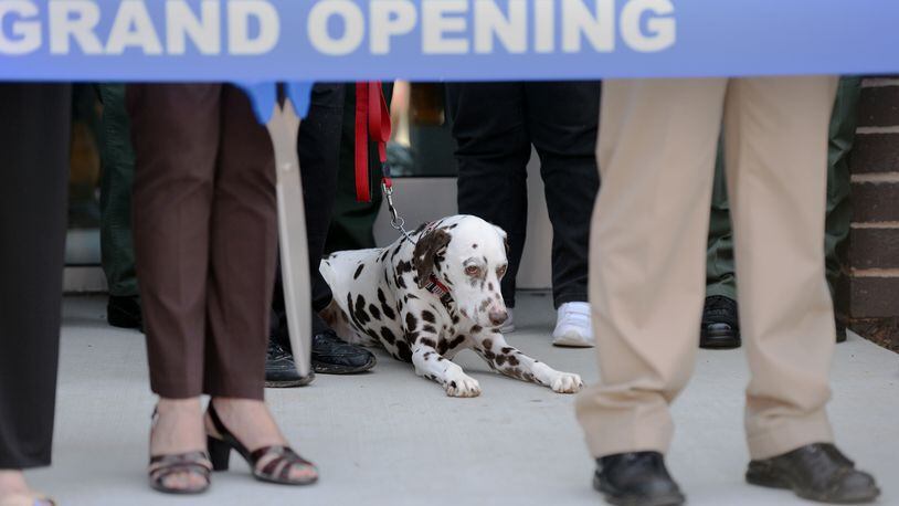 DeKalb County Fire Rescue mascot Cheddar the dalmation, awaits the end of ceremonies as DeKalb County officials, animal advocates and members of the public attend the opening of the county's new $12 million DeKalb animal shelter in this July 2017 file photo.