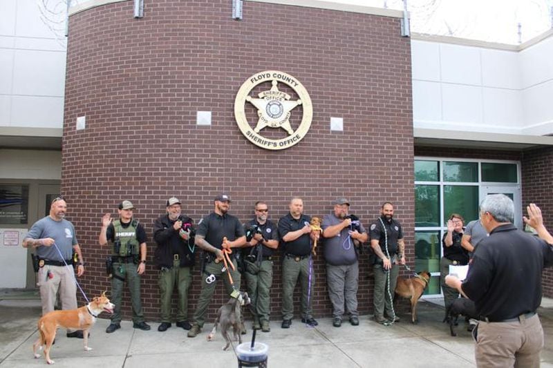 Floyd County Sheriff Dave Roberson swears in several Floyd County PAWS dogs on Thursday for the Law Dog for a Day program. Deputies took the dogs on duty with them, escorting them around the community in the hopes that the visibility will boost adoptions. Of the eight dogs taken out on Thursday, six were adopted. (Courtesy of Floyd County Sheriff's Office)