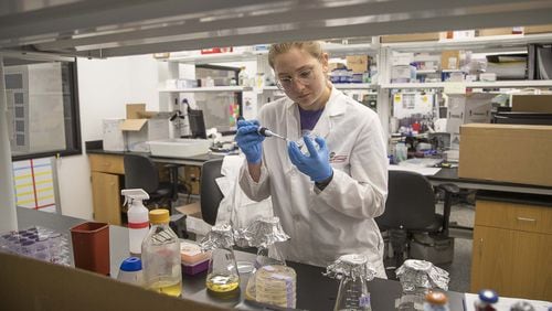 University of Georgia fourth-year graduate student Amanda Skarlupka starts a bacteria culture for plasmids while working in the labs at the University of Georgia College of Veterinary Medicine building in Athens. in May 2020. The university is making renovations to the building and others on campus as well as beginning new construction. ALYSSA POINTER / ALYSSA.POINTER@AJC.COM