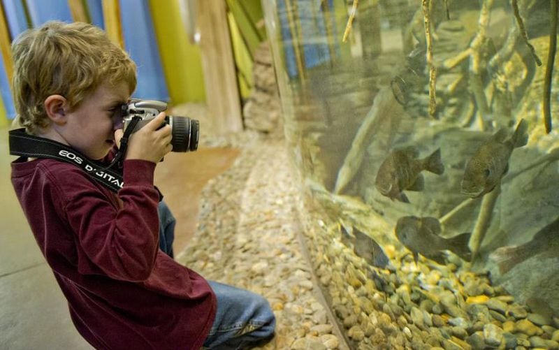 Ian Taylor takes a photograph of fish inside the Chattahoochee Nature Center.