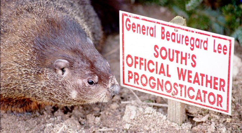 The first General Beauregard Lee looks at his sign while preparing for Groundhog Day in 1995. Lee, the South's "official weather prognosticator," lived at Yellow River Game Ranch in Gwinnett County, Ga. Upon his death, the ranch replaced him with his “bachelor nephew.