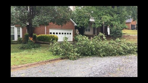 A tree was covering a lane of a road in the Lakeshore subdivision in Lithonia on Tuesday, Sept. 12, 2017. DeKalb County was among the hardest hit by Tropical Storm Irma in metro Atlanta.