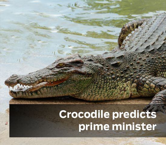 Crocodile predicts prime minister