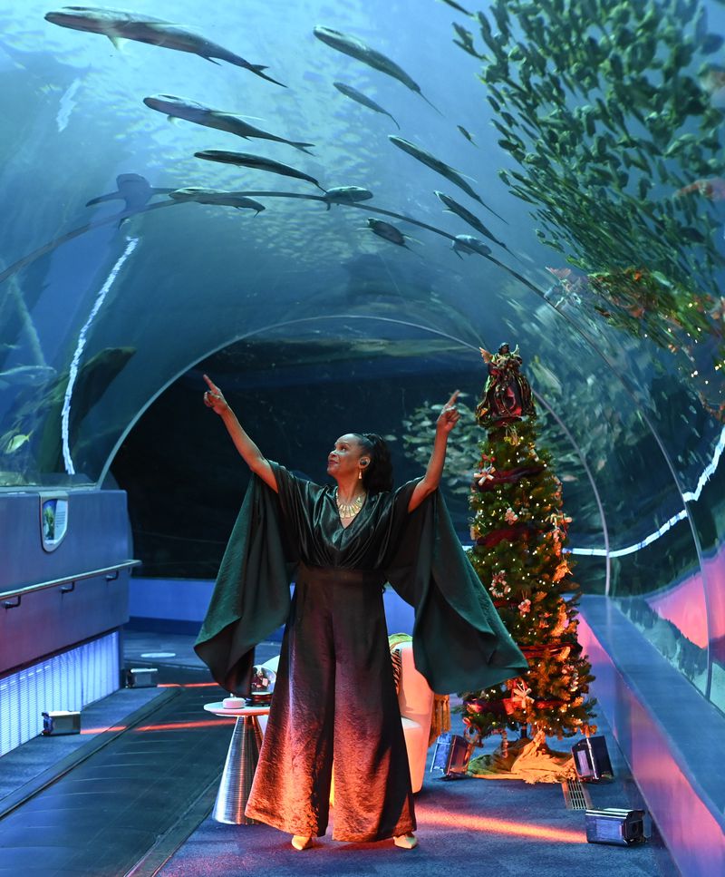 The Georgia Aquarium is one of the local destinations featured in the Alliance's "A Very Terry Christmas," a streaming holiday musical with Terry Burrell.
Courtesy of Greg Mooney