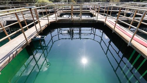 Views of a settling basin outside of Summerville Water Treatment Plant shown on Wednesday, Oct. 4, 2023. The basins are a part of the sedimentation process that removes large solids from water. (Natrice Miller/ Natrice.miller@ajc.com) 