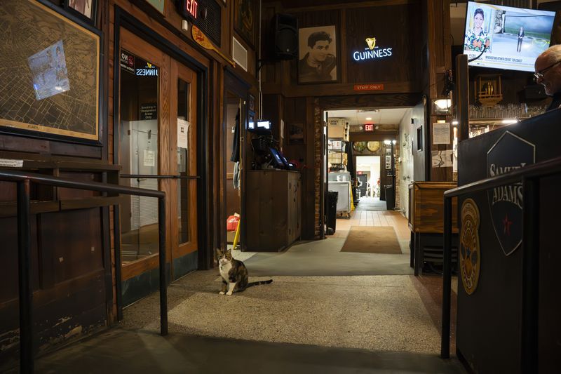 Manuel's owners have posted signs outside the bar urging patrons not to let Archer inside, but the clever cat always seems to find a way.