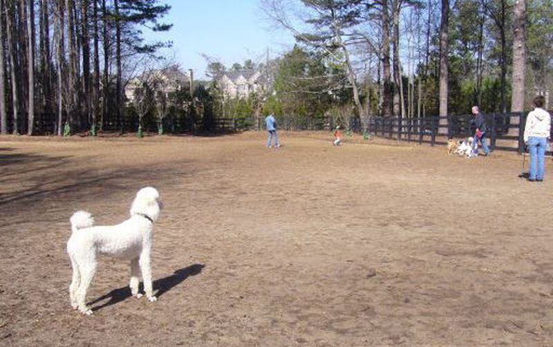 After running on the trails at Wills Park, let your dog have a blast with her furry friends at the Waggy World Paw Park.