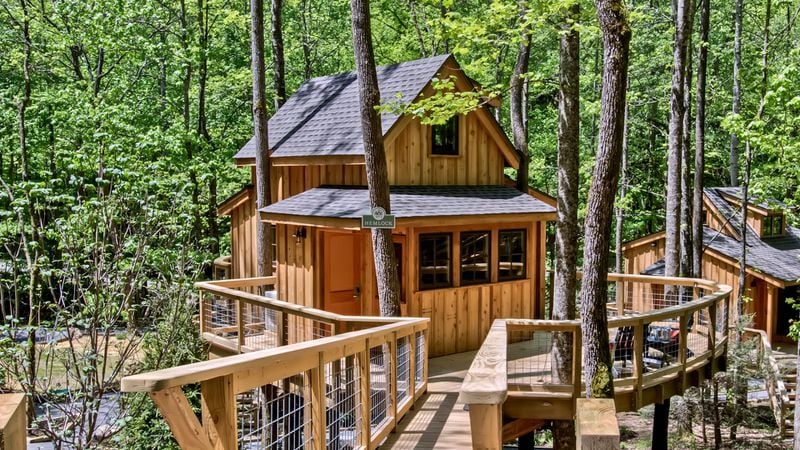 Pete Nelson, host of Animal Planet’s “Treehouse Masters,” designed eight treehouses in Gatlinburg's Treehouse Grove. 
Courtesy of The Treehouse Grove