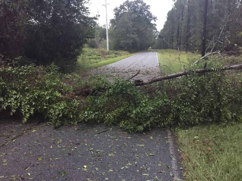 A fallen tree blocks Old Vidalia Lyons Road in Toombs County. Emergency crews are working to clear debris from Hurricane Michael. Photo: Johnny Edwards/AJC