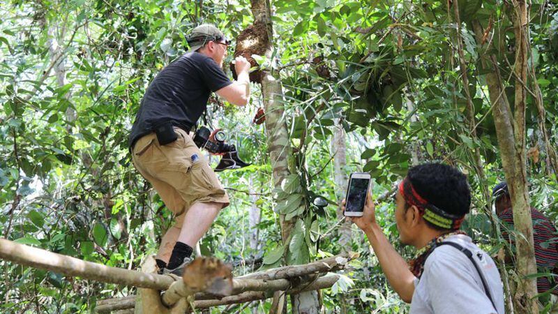 Natural history photographer and his Indonesian guide, Iswan, as they rediscovered a nest of  Megachile pluto or Wallace's giant bee.