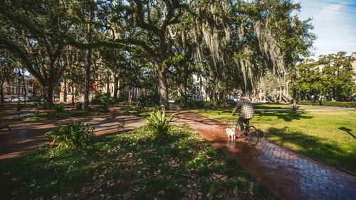 A bicycle rider and his dog make their way through Calhoun Square on Abercorn Street. The square was named in honor of John C. Calhoun, a United States Senator from South Carolina, who served as the Vice President under John Quincy Adams and Andrew Jackson. (Photo Courtesy of Richard Burkhart/Savannah Morning News)