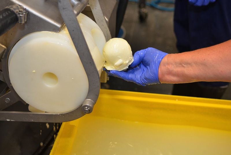 A nearly finished ball of fresh mozzarella is plucked from the machine that stretches, cooks and forms the cheese at CalyRoad Creamery. (Chris Hunt/Special)