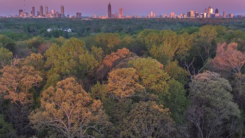 The image "Fernbank Forest, Downtown Atlanta," is featured in Peter Essick's new book "Fernbank Forest."
Courtesy of Peter Essick