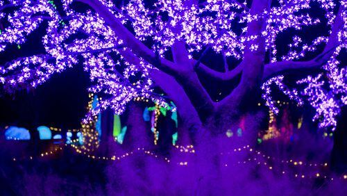 The Atlanta Botanical Garden’s “Garden Lights, Holiday Nights” (Credit: Joey Ivansco)