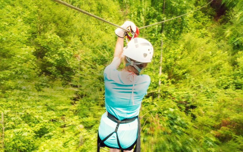 Feel the thrill of Unicoi State Park's newest zip line.