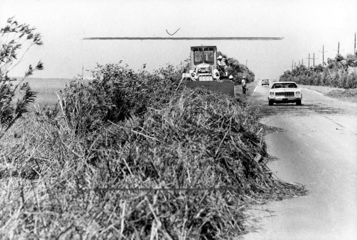 Flashback Photos: Hurricane David hits Savannah in 1979