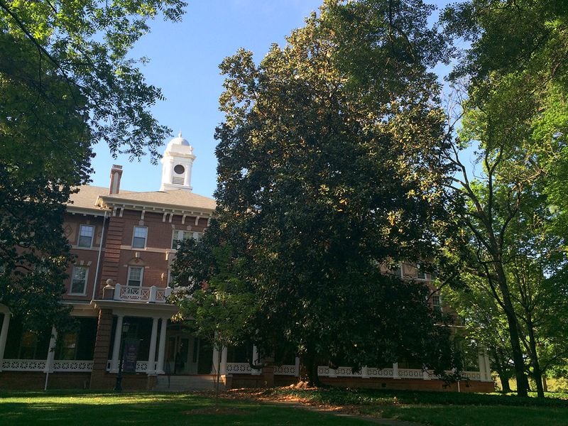The 'Professor Dieckmann Magnolias' on the Agnes Scott campus