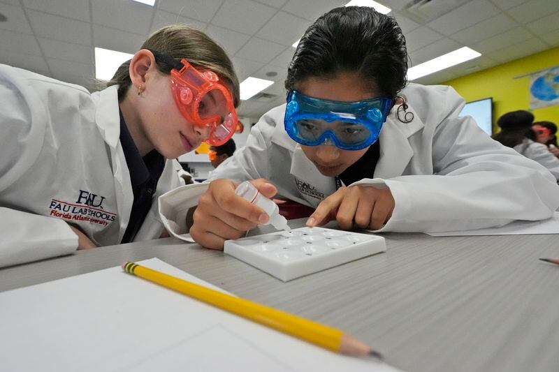 Twelve-year-olds Emma Starkman, left, and Jianna Landazabal-Echeverri test fake neurotoxins to determine which ailments afflicted their imaginary patients, Monday, April 15, 2024, at A.D. Henderson School in Boca Raton, Fla. While many teachers nationally complain their districts dictate textbooks and course work, the South Florida school's administrators allow their staff high levels of classroom creativity...and it works. (AP Photo/Wilfredo Lee)