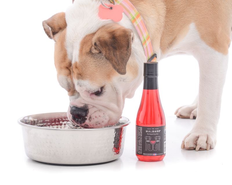 Treat your pup at City Winery
