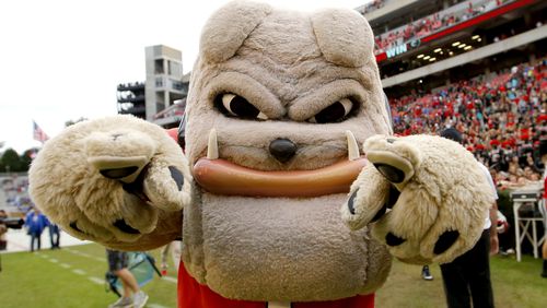 Georgia Bulldogs mascot Hairy Dawg.