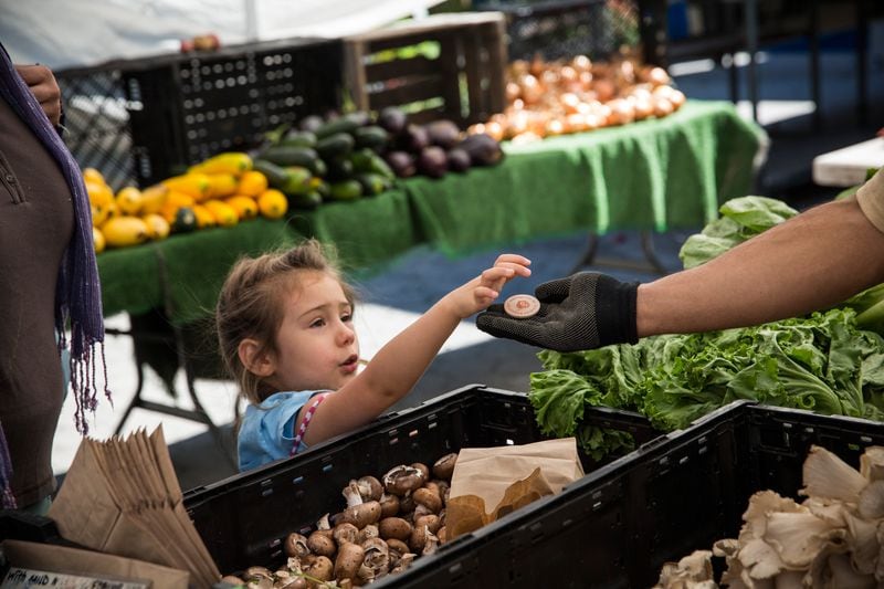 FILE PHOTO:  A girl pays for her mother's groceries using Electronic Benefits Transfer (EBT) tokens, more commonly known as Food Stamps, at the GrowNYC Greenmarket in Union Square on September 18, 2013 in New York City.