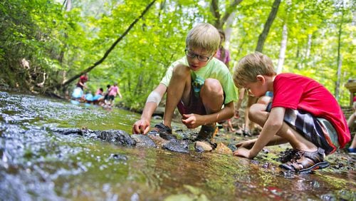 Christopher Henderson (center) and Markus Seller build a temporary dam across Sam’s Creek during summer camp at Autrey Mill Nature Preserve in Johns Creek on Monday, July 14, 2014. JONATHAN PHILLIPS / SPECIAL