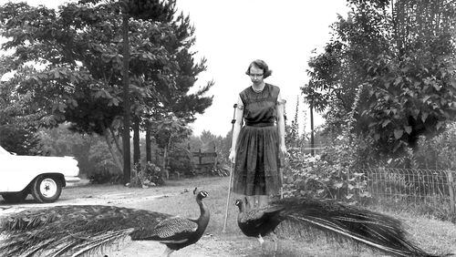 Flannery O'Connor in the driveway at Andalusia, 1962. (Photo by Joe McTyre/ Atlanta Constitution).