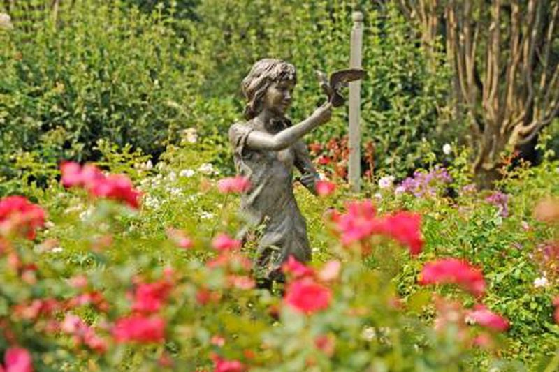 The Carter Center's popular Rose Garden — with more than 40 colorful varieties, plus circular sidewalks and benches for relaxed viewing — is open daily from 6 a.m. to dark.