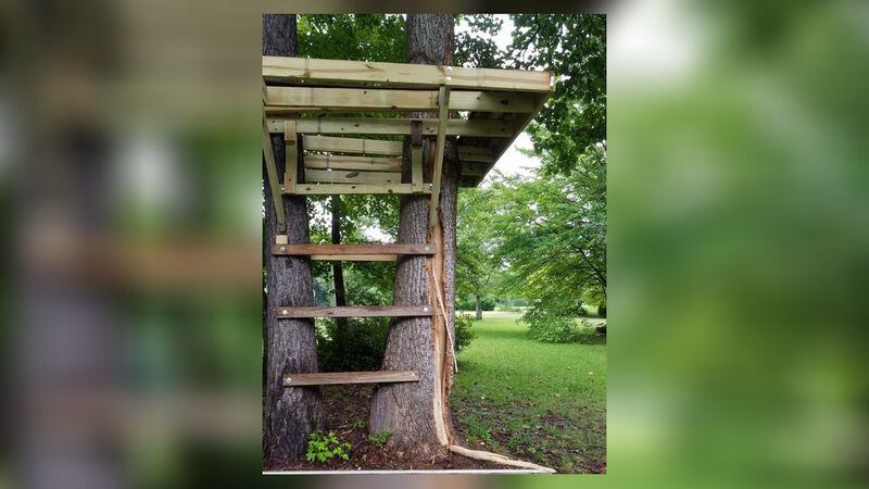 Lightning struck a treehouse in Haralson County on Thursday.  (Photo: Eddy Mullins)
