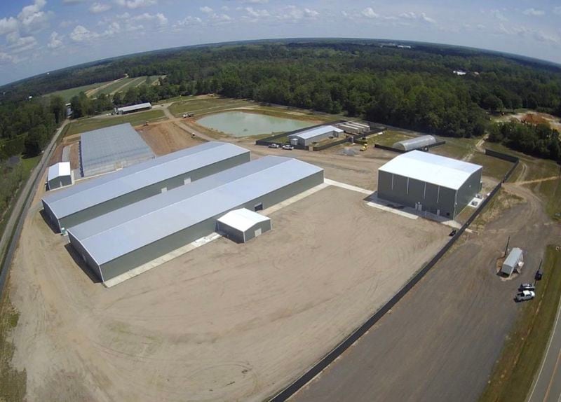 An aerial view from a drone shows Botanical Sciences' greenhouse complex in Glennville. Trulieve, the other state-approved producer of marijuana for medicinal purposes, operates a similar facility in Adel.