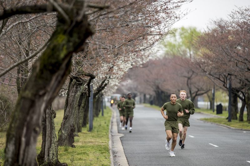 Marines from Joint Base Myer-Henderson Hall run past cherry trees in Washington. Social distancing is key to stemming the coronavirus outbreak, according to health officials, and a 14-day national shutdown is being discussed.